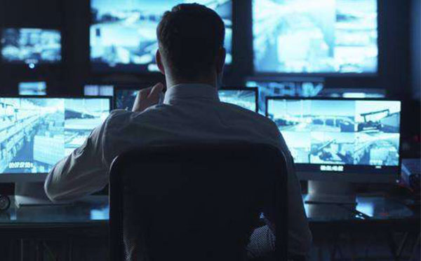 Live Video Monitoring Services
